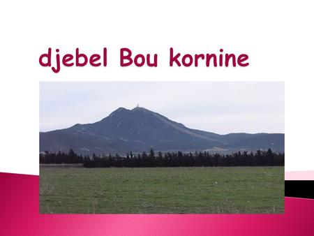 Djebel Bou kornine.