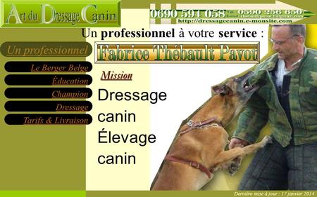 Éducation Champion Dressage Tarifs & Livraison Le Berger Belge Un professionnelMission Dressage canin Élevage canin professionnelservice Un professionnel.