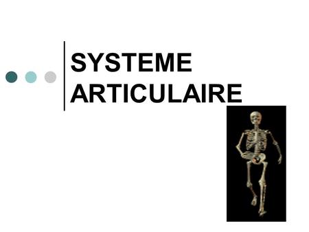 SYSTEME ARTICULAIRE.
