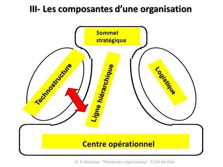 III- Les composantes d’une organisation