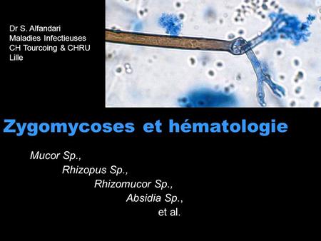Zygomycoses et hématologie