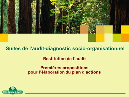 Suites de l’audit-diagnostic socio-organisationnel Restitution de l’audit Premières propositions pour l’élaboration du plan d’actions.