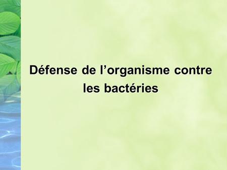 Défense de l’organisme contre les bactéries