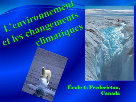 École 4: Fredericton, Canada. Les effets sur la vie des ours polaires Parce que la glace au nord/ Arctique du Canada fond à une pas anormalement vite,