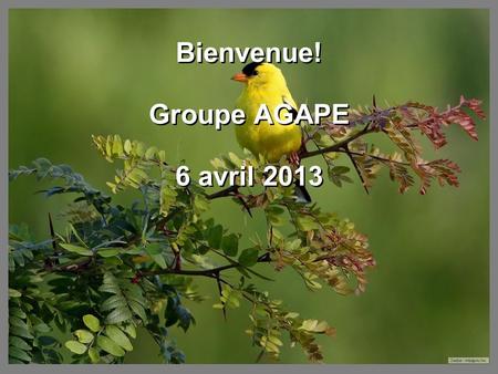 Bienvenue! Groupe AGAPE 6 avril 2013