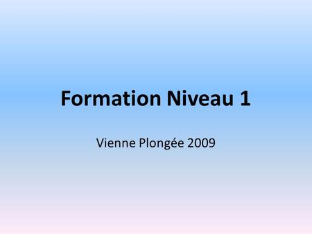 Formation Niveau 1 Vienne Plongée 2009.