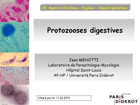 Protozooses digestives