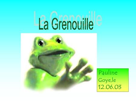 La Grenouille Pauline Goye,le 12.06.03.