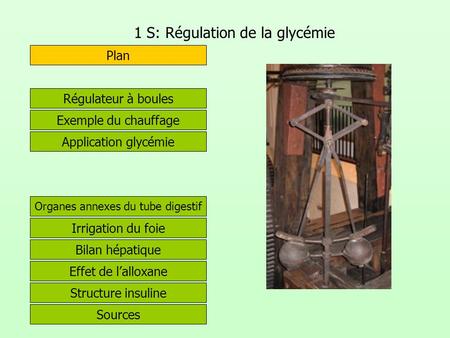 1 S: Régulation de la glycémie