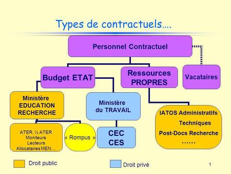 Types de contractuels….