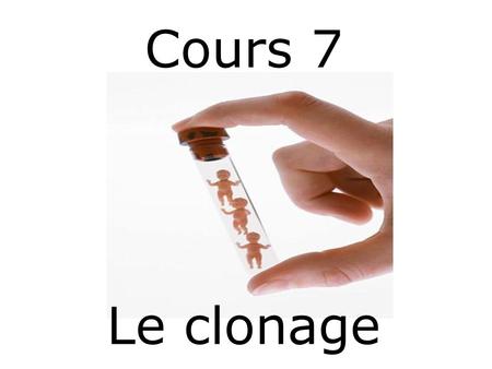 Cours 7 Le clonage.