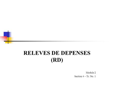 RELEVES DE DEPENSES (RD) Module 2 Section 4 – Tr. No. 1