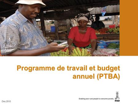 Programme de travail et budget annuel (PTBA)