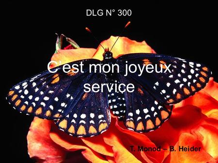 DLG N° 300 Cest mon joyeux service T. Monod – B. Heider.
