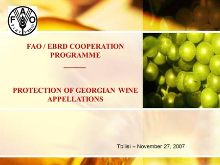 Tbilisi – November 27, 2007 FAO / EBRD COOPERATION PROGRAMME ______ PROTECTION OF GEORGIAN WINE APPELLATIONS.