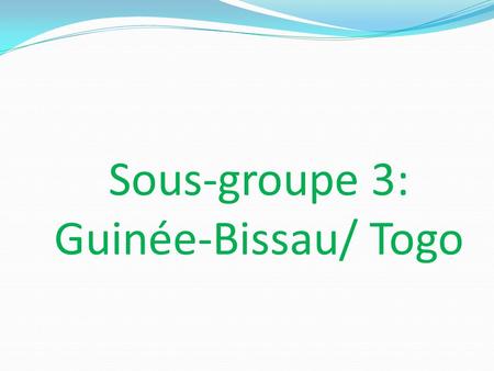 Sous-groupe 3: Guinée-Bissau/ Togo. Etat des lieux dans les deux pays En Guinée-bissau, à fin décembre 2011 la traduction des directives en portugais.