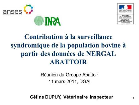 1 Contribution à la surveillance syndromique de la population bovine à partir des données de NERGAL ABATTOIR Réunion du Groupe Abattoir 11 mars 2011, DGAl.