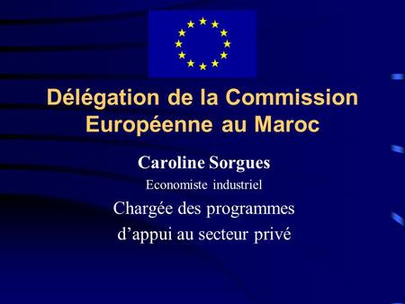 Délégation de la Commission Européenne au Maroc