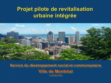1 Service du développement social et communautaire Ville de Montréal novembre 2003 Service du développement social et communautaire Ville de Montréal novembre.