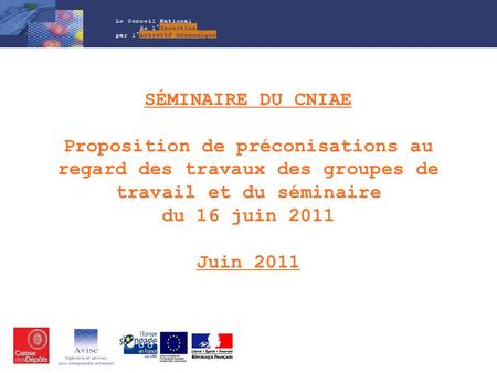 Séminaire du CNIAE Proposition de préconisations au regard des travaux des groupes de travail et du séminaire du 16 juin 2011 Juin 2011.