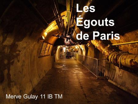 Les Égouts de Paris Merve Gulay 11 IB TM.