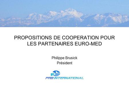 PROPOSITIONS DE COOPERATION POUR LES PARTENAIRES EURO-MED Philippe Brusick Président.