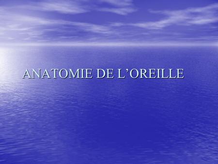 ANATOMIE DE L’OREILLE.