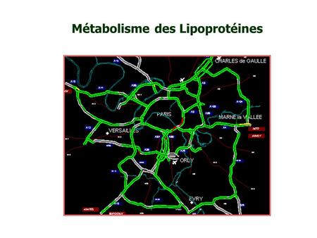 Métabolisme des Lipoprotéines