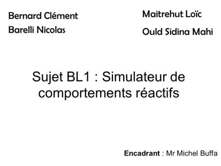 Sujet BL1 : Simulateur de comportements réactifs