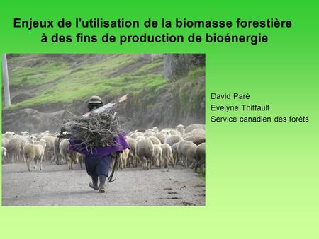 David Paré Evelyne Thiffault Service canadien des forêts