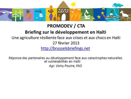 Briefing sur le développement en Haïti