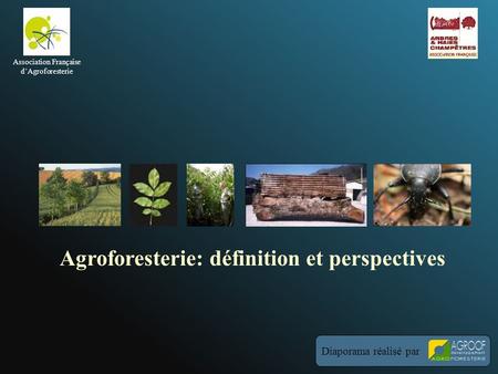 Agroforesterie: définition et perspectives