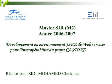 Master SIR (M2) Année 2006-2007 Développement en environnement J2EE de Web services pour l'interopérabilité du projet CASTORE ce stage de fin d’étude a.