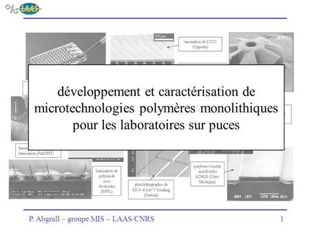 Développement et caractérisation de microtechnologies polymères monolithiques pour les laboratoires sur puces.