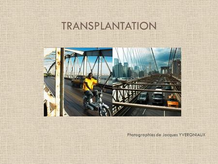 TRANSPLANTATION Photographies de Jacques YVERGNIAUX.