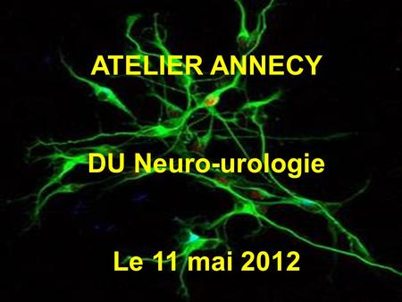 ATELIER ANNECY DU Neuro-urologie Le 11 mai 2012.