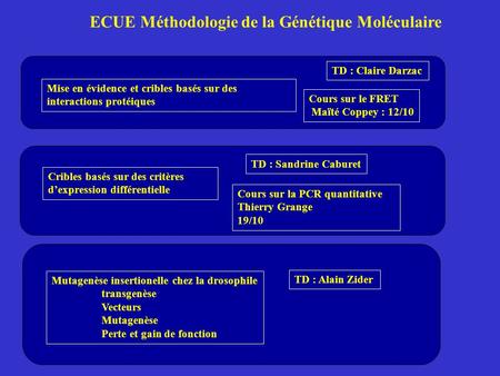 ECUE Méthodologie de la Génétique Moléculaire