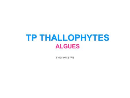 TP THALLOPHYTES ALGUES