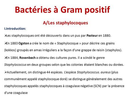 Bactéries à Gram positif