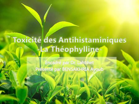 Toxicité des Antihistaminiques -La Théophylline-