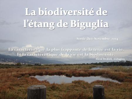 La biodiversité de l’étang de Biguglia
