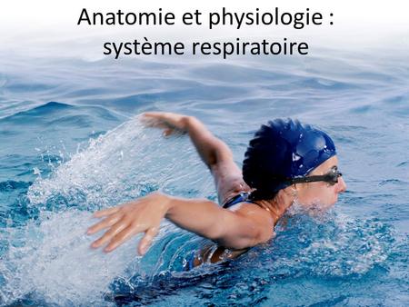 Anatomie et physiologie : système respiratoire