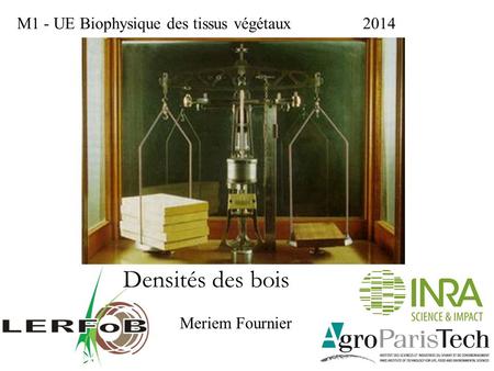 Densités des bois M1 - UE Biophysique des tissus végétaux 2014