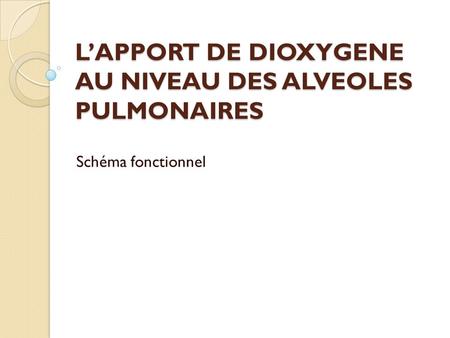 L’APPORT DE DIOXYGENE AU NIVEAU DES ALVEOLES PULMONAIRES