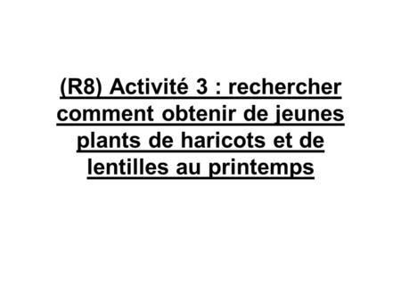 (R8) Activité 3 : rechercher comment obtenir de jeunes plants de haricots et de lentilles au printemps.