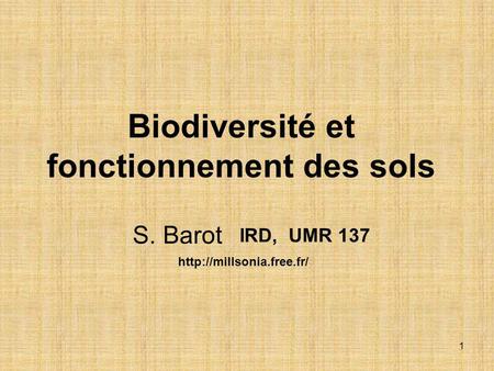 Biodiversité et fonctionnement des sols