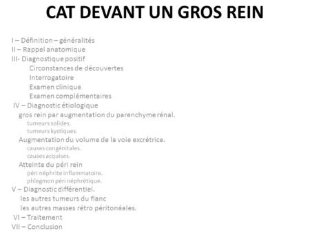 CAT DEVANT UN GROS REIN I – Définition – généralités