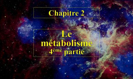 Chapitre 2 titre Le métabolisme 4ème partie.