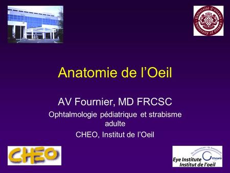 Anatomie de l’Oeil AV Fournier, MD FRCSC