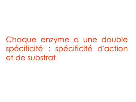La spécificité du substrat et de réaction qui caractérisent les enzymes est à la base de leur classification.